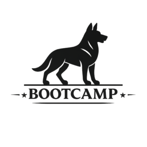 Bootcamp