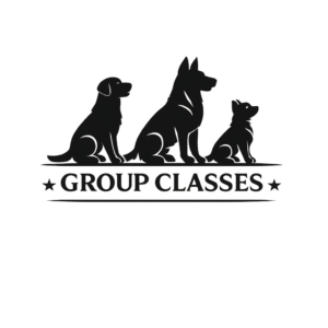 Group Classes