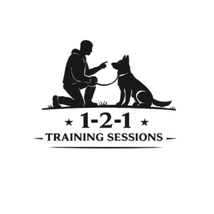 1-2-1 Training Sessions